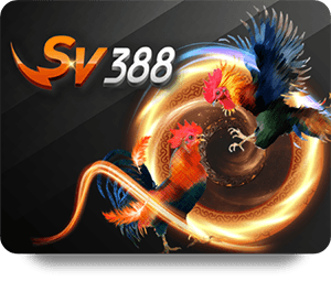 Tăng Cường Cảm Giác Thể Thao Với FUN88 Thể Thao VIP